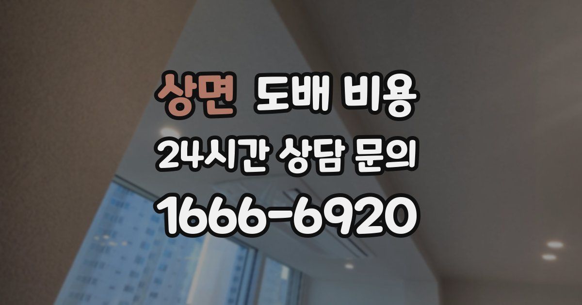 상면 도배 비용