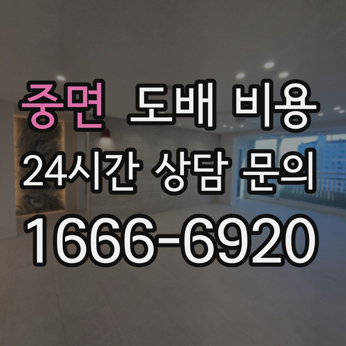 중면 도배 비용