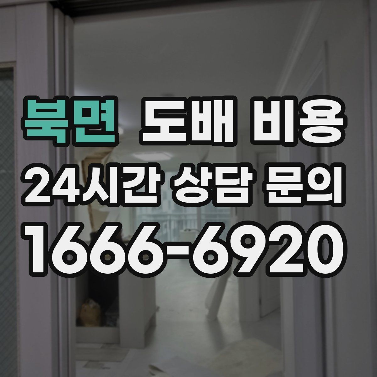 북면 도배 비용 비교 전 체크할 기준