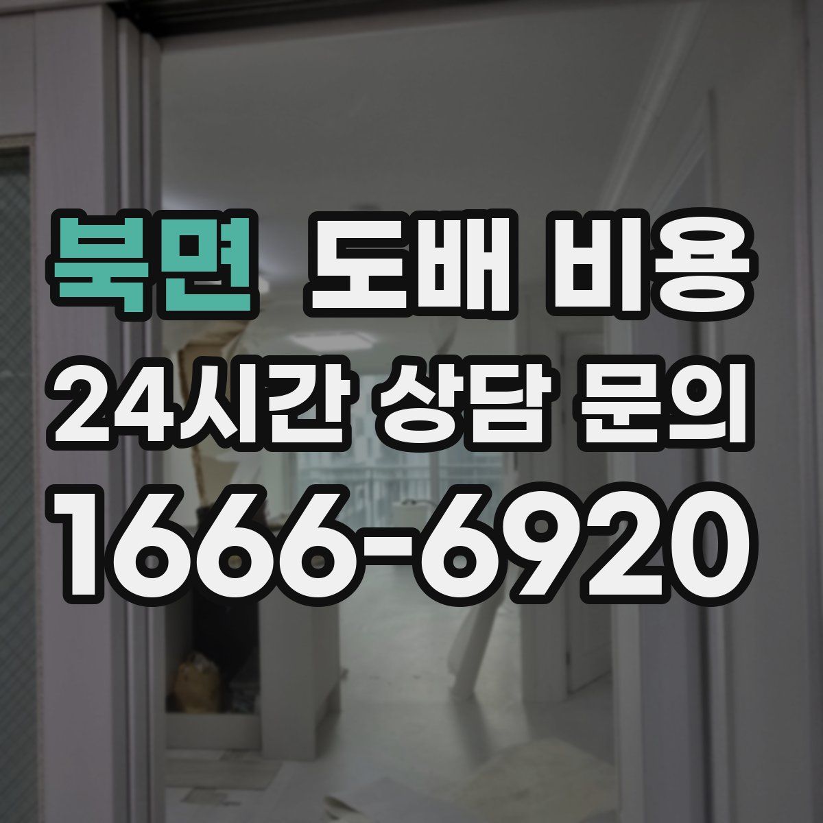 북면 도배 비용