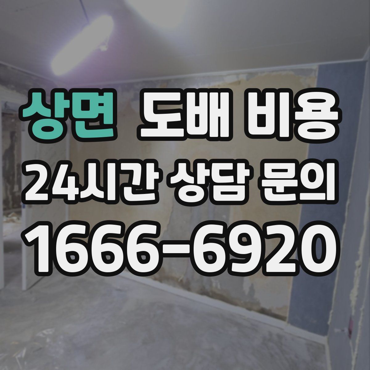 상면 도배 비용