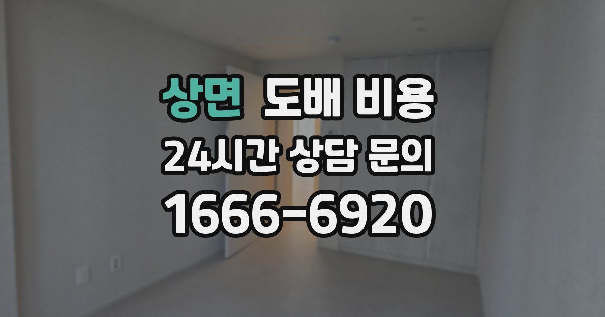 상면 도배 비용
