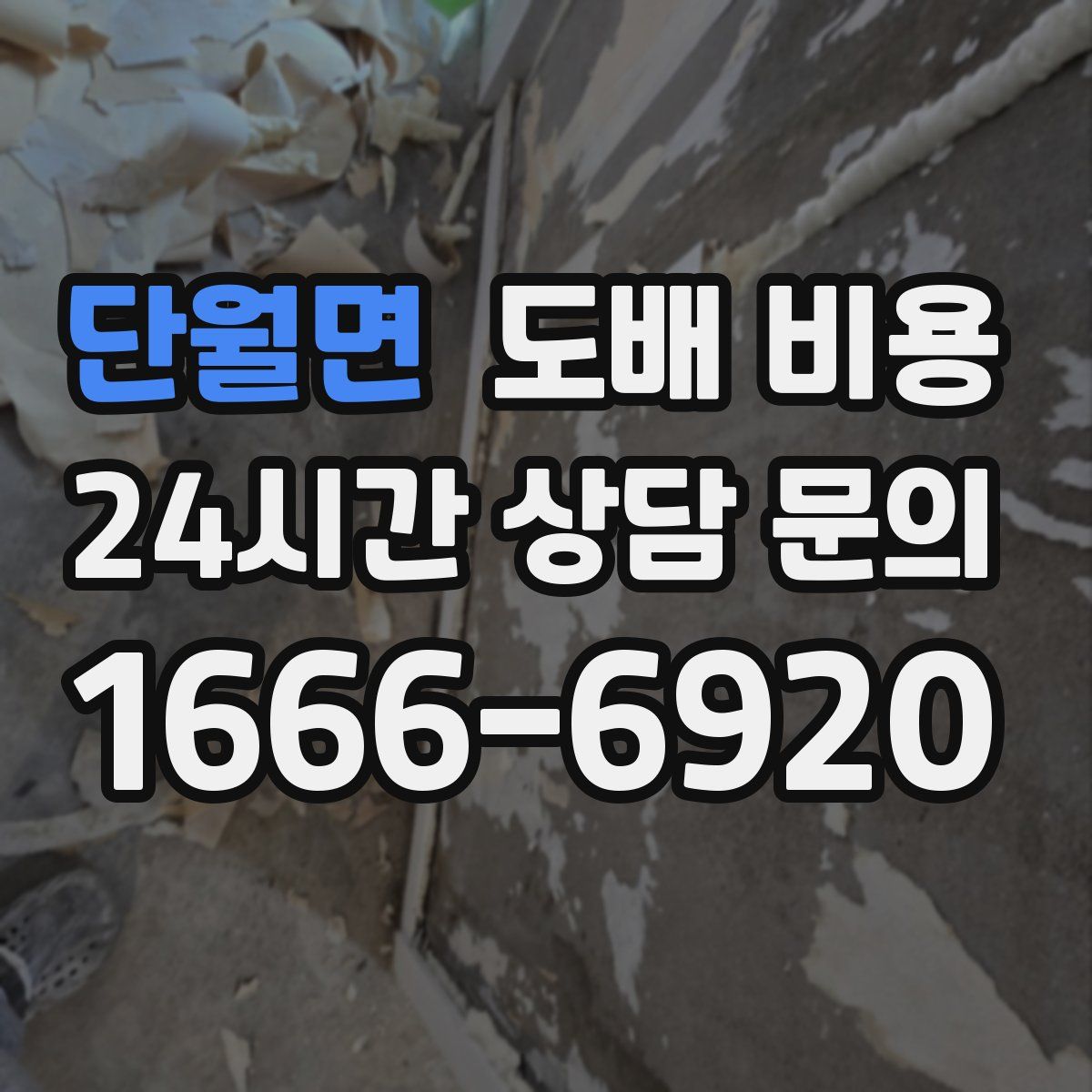 단월면 도배 비용