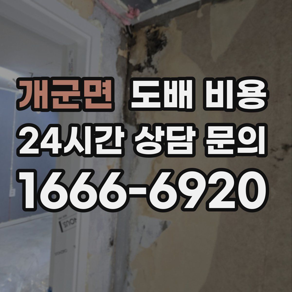 개군면 도배 비용