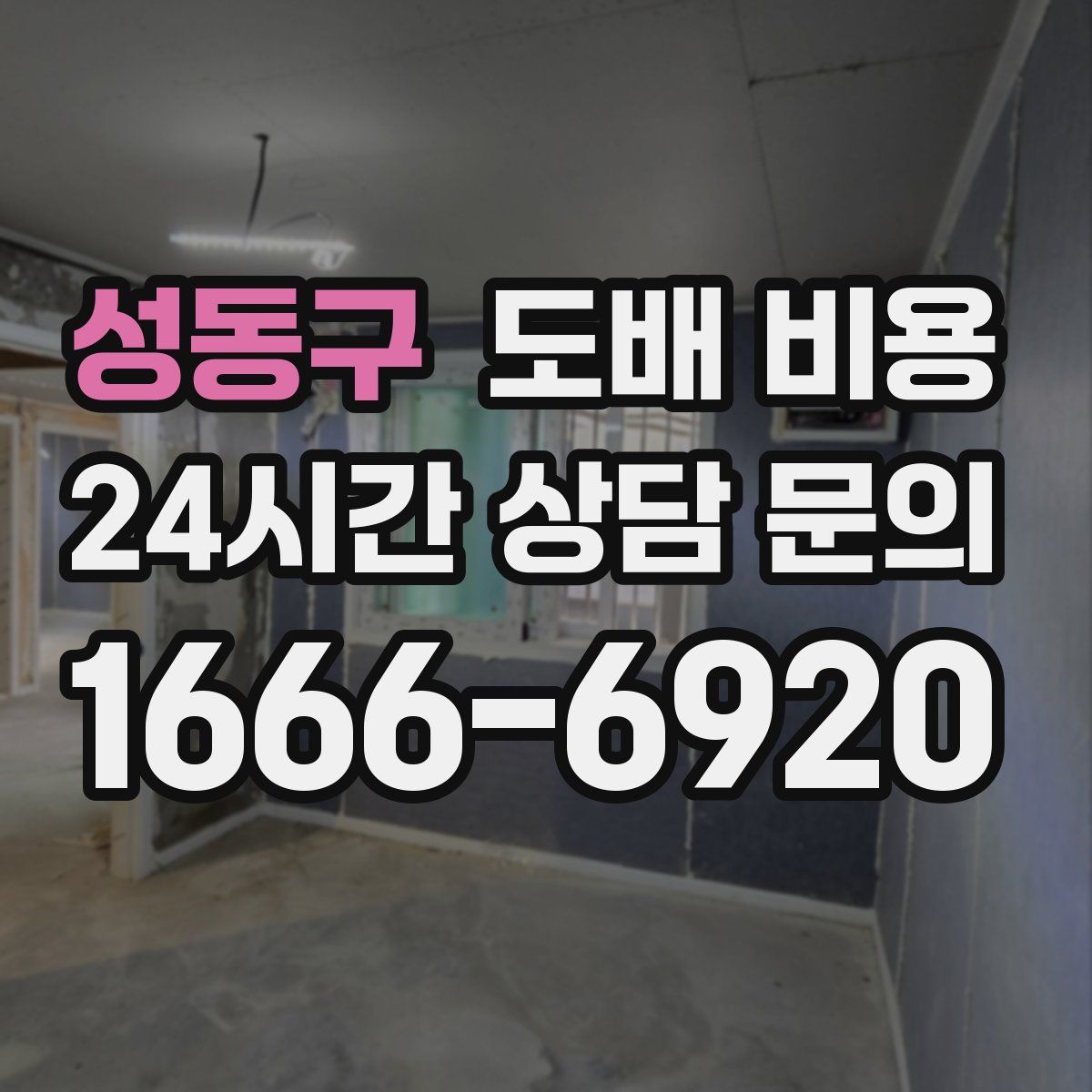 성동구 도배 비용