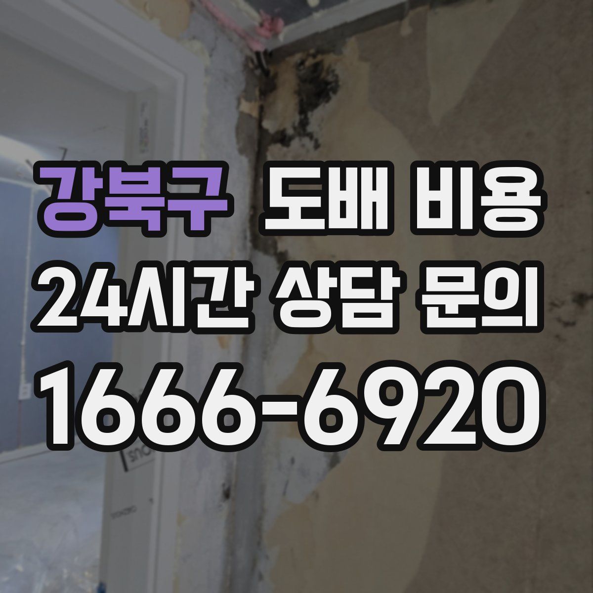 강북구 도배 비용