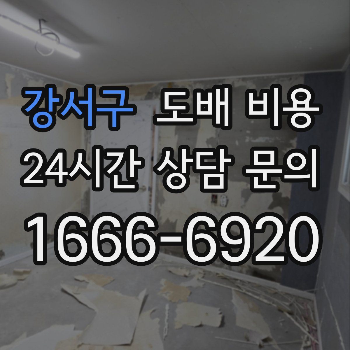 강서구 도배 비용