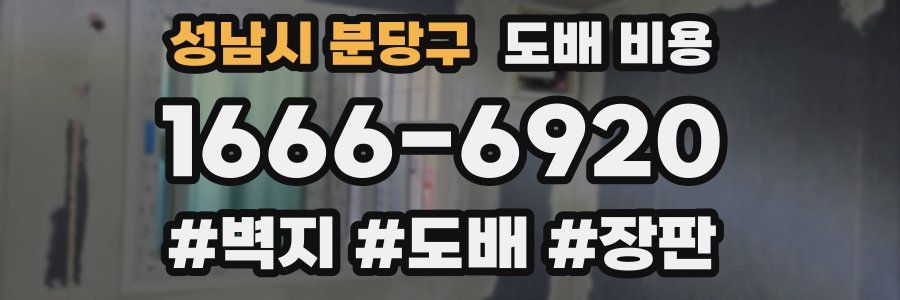 성남시 분당구 도배 비용