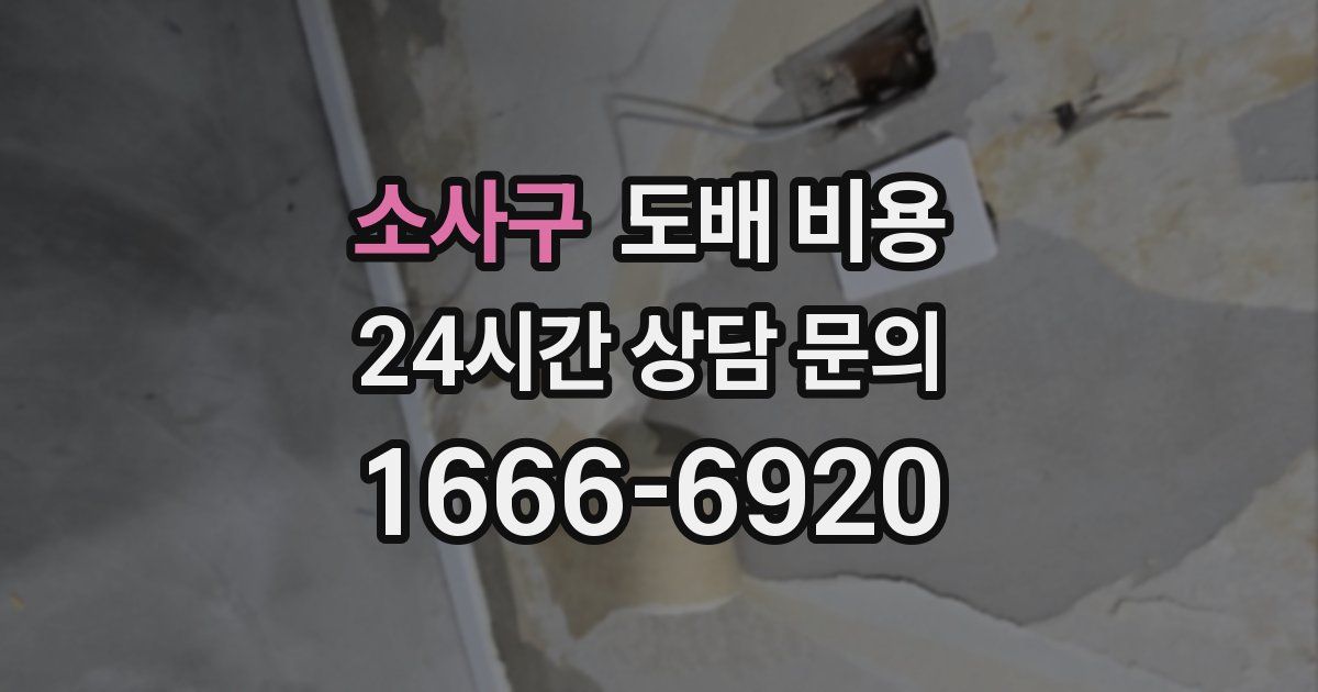 소사구 도배 비용