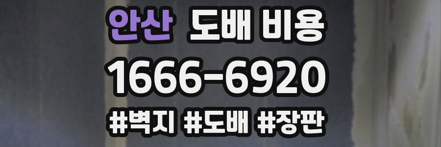 안산 도배 비용