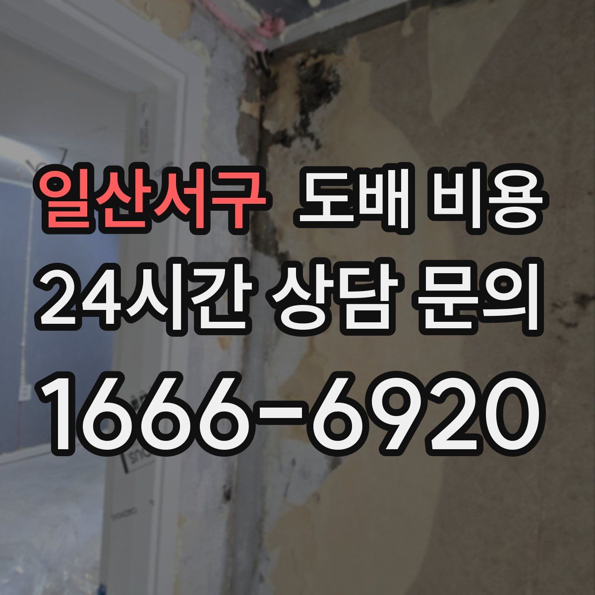 일산서구 도배 비용