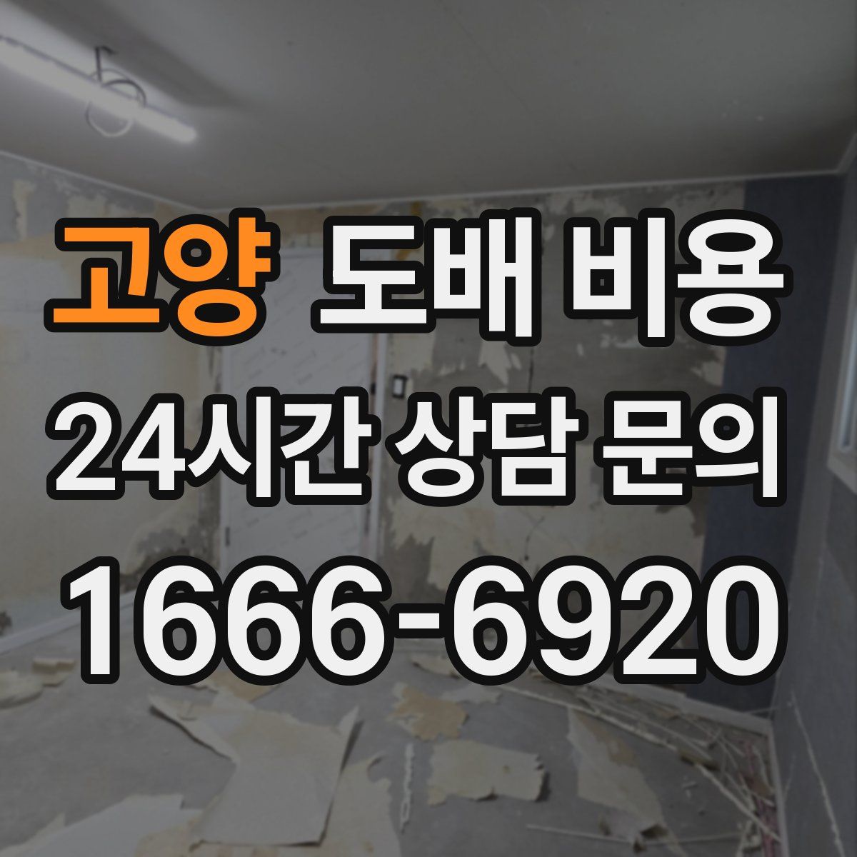 고양 도배 비용