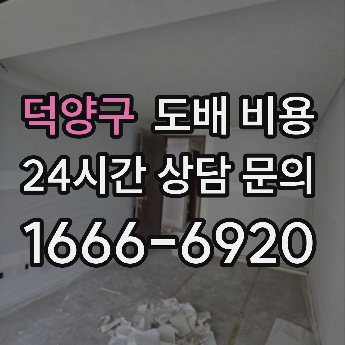 덕양구 도배 비용