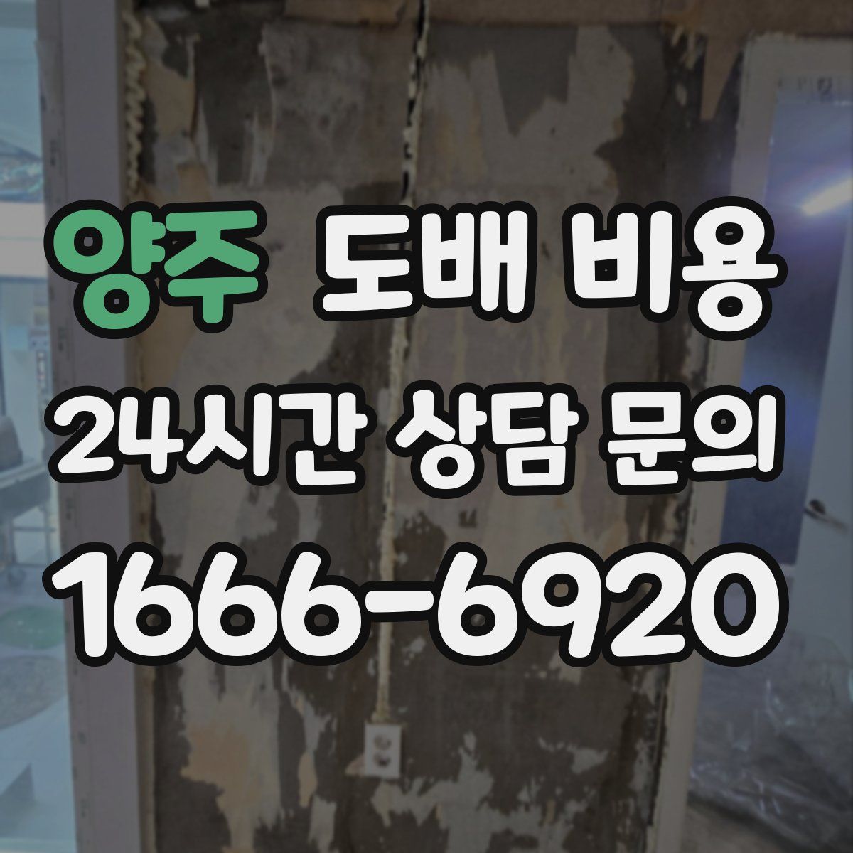 양주 도배 비용