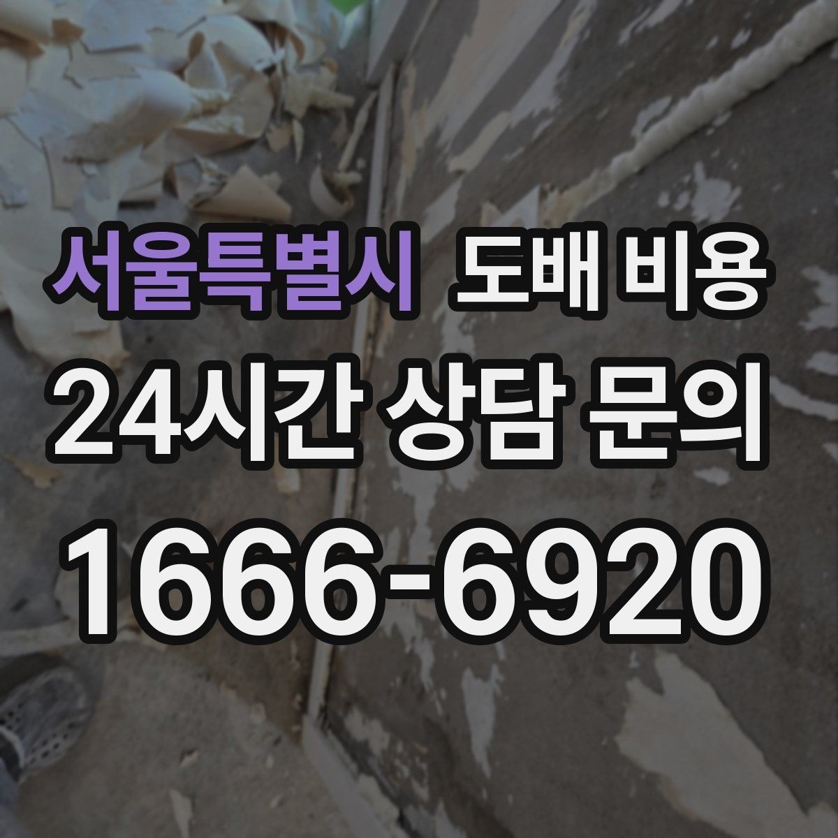 서울특별시 도배 비용 문의 전후로 챙길 사항