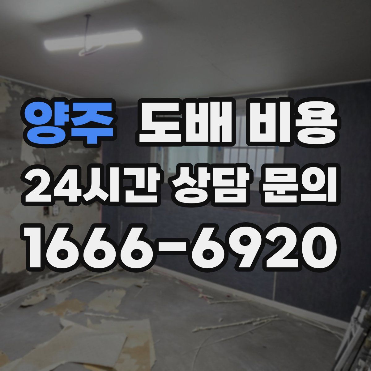 양주 도배 비용