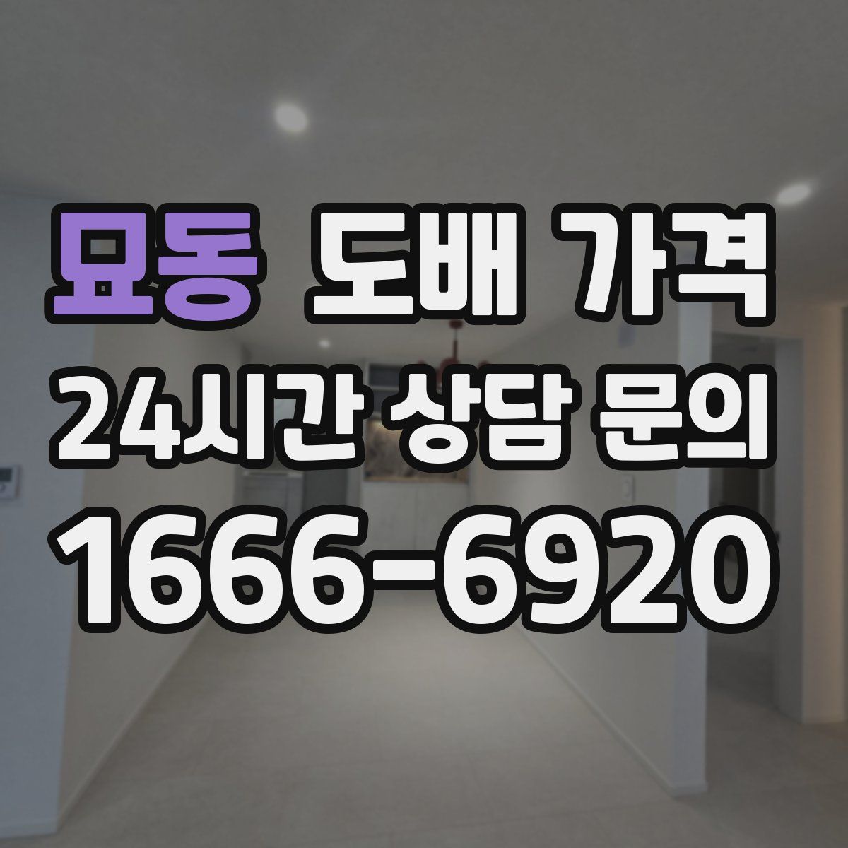 묘동 도배 가격