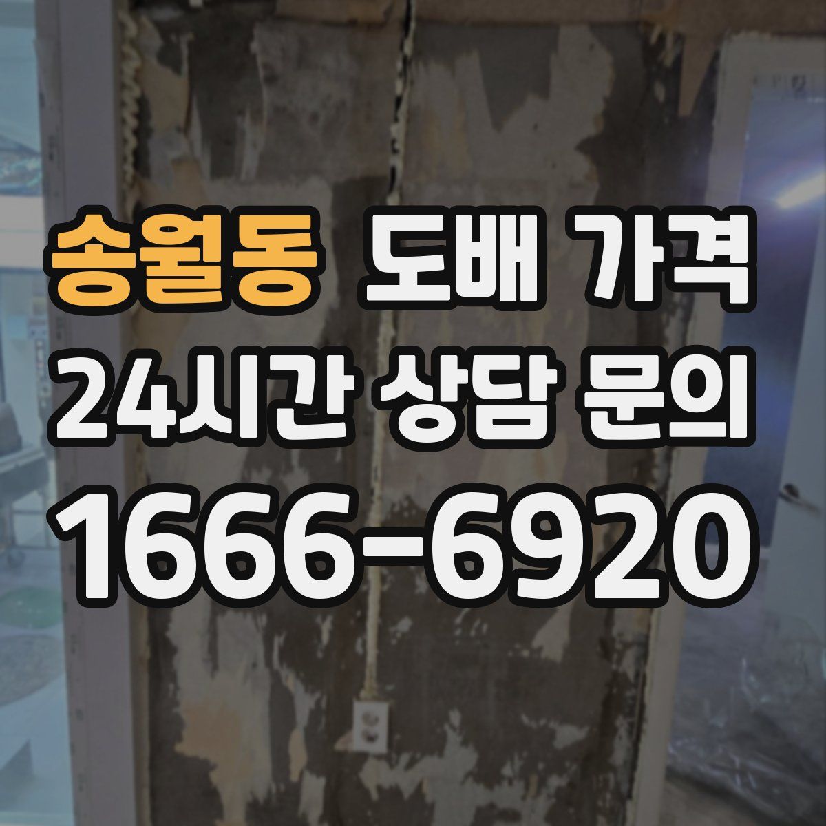 송월동 도배 가격