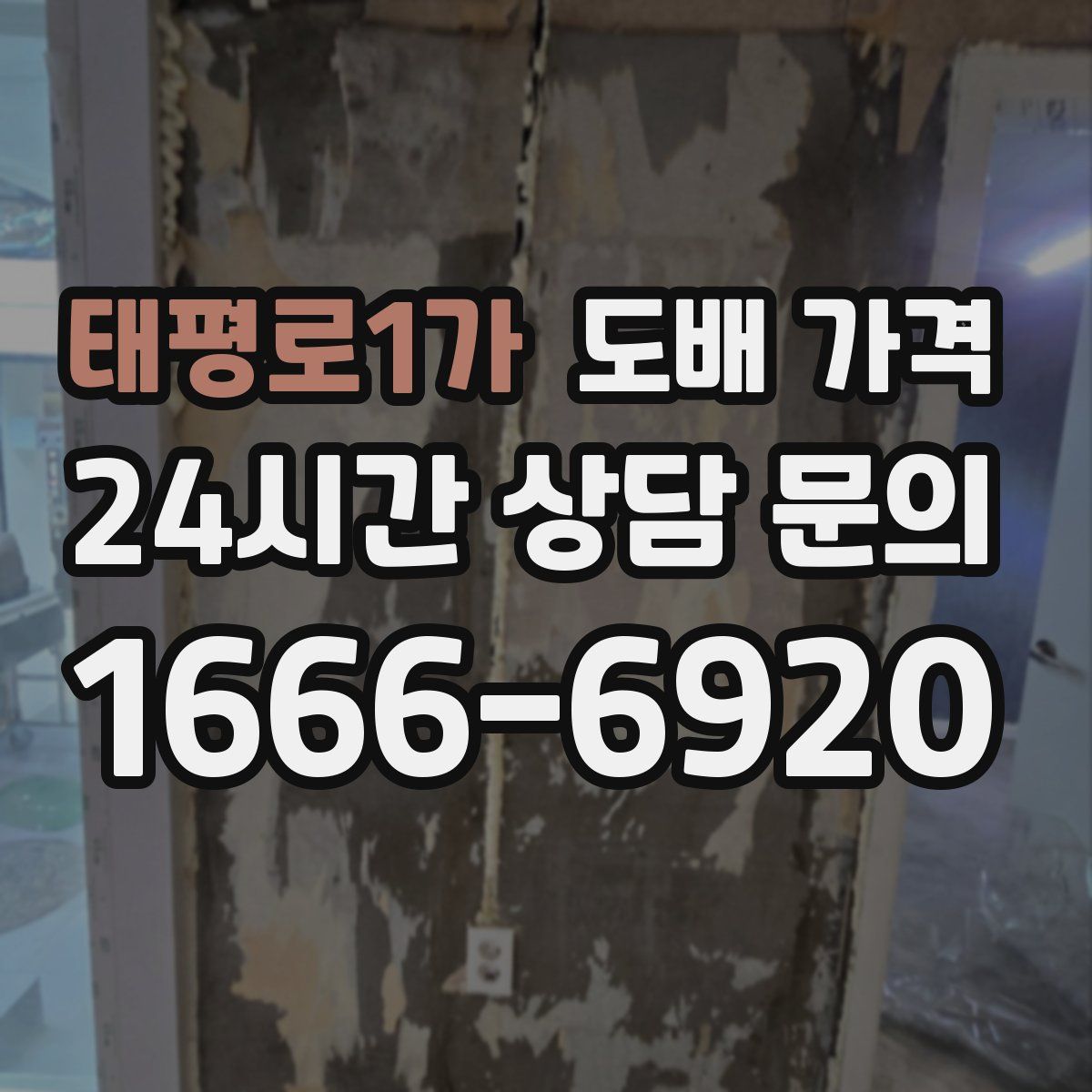 태평로1가 도배 가격