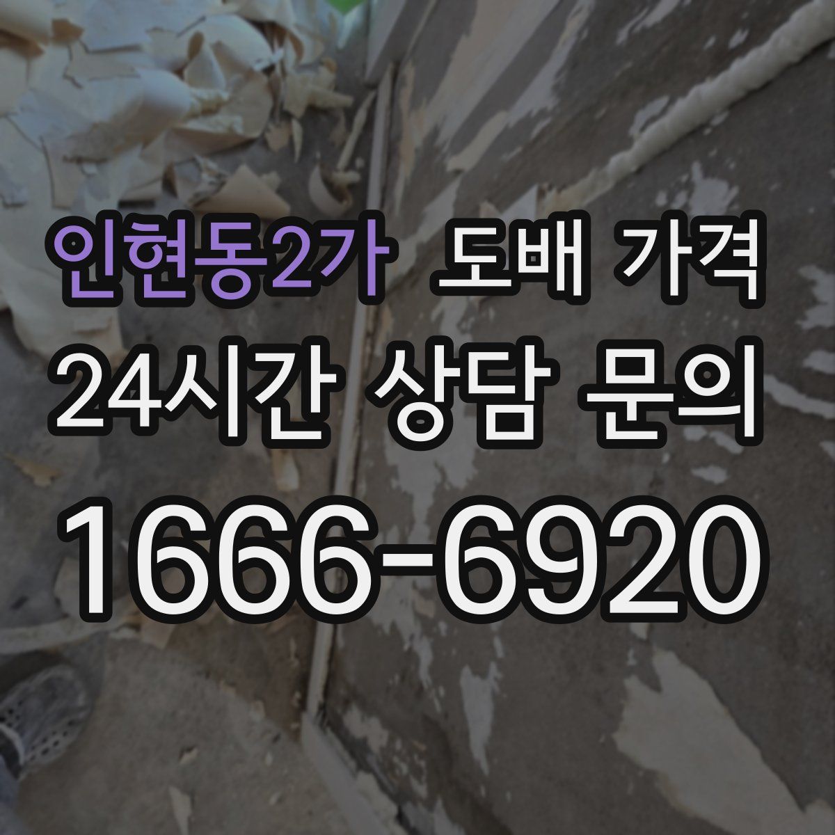 인현동2가 도배 가격