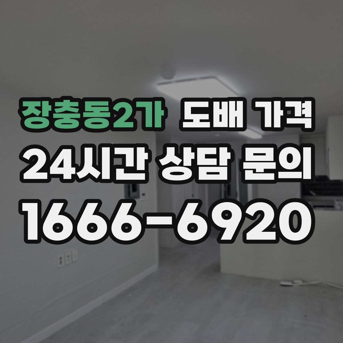 장충동2가 도배 가격