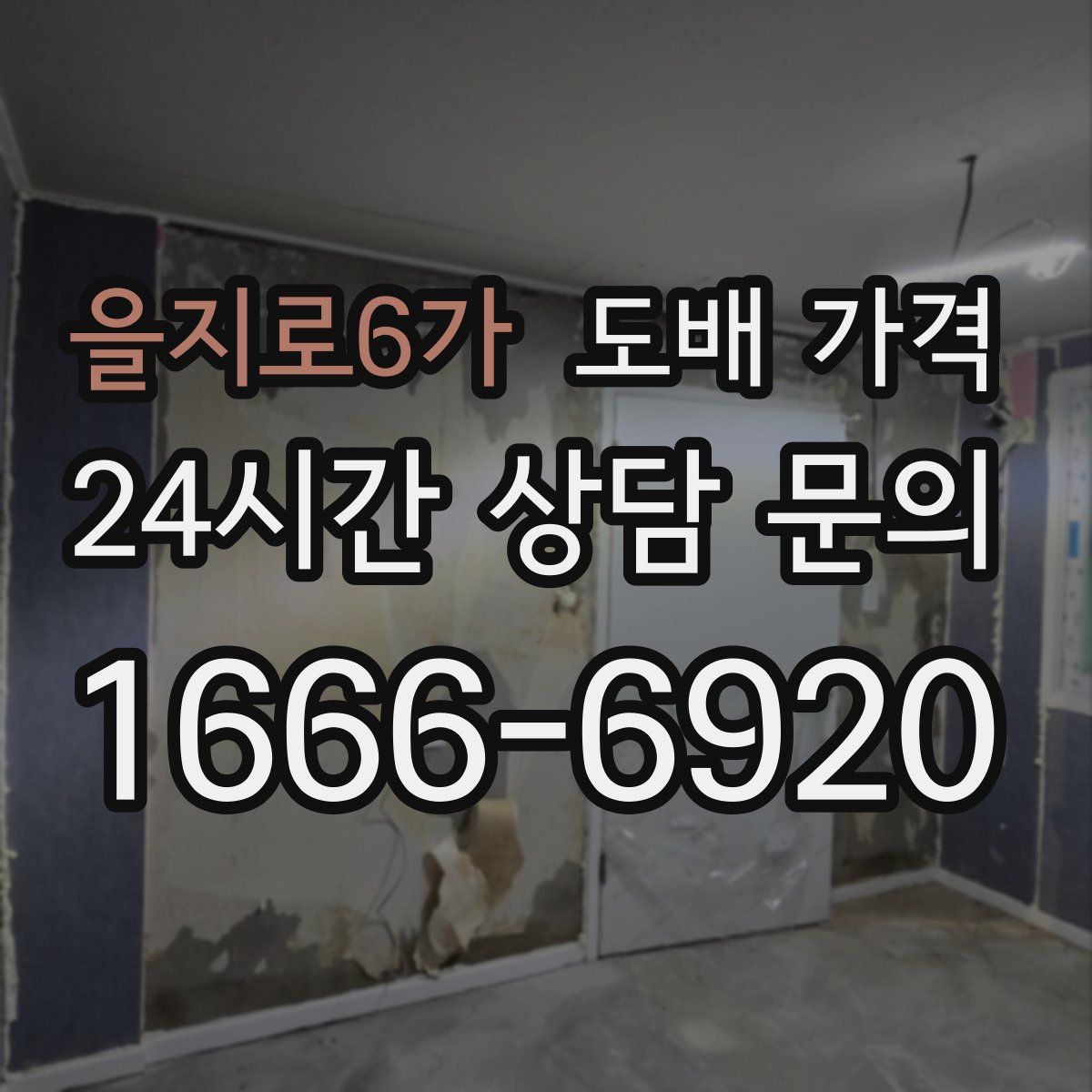 을지로6가 도배 가격