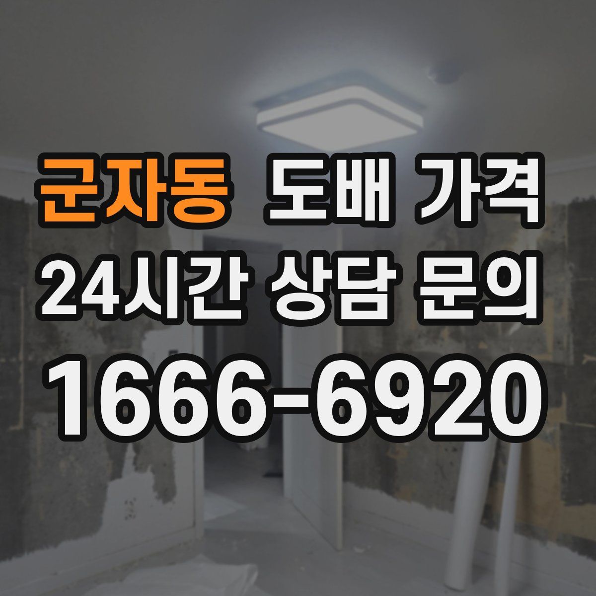 군자동 도배 가격