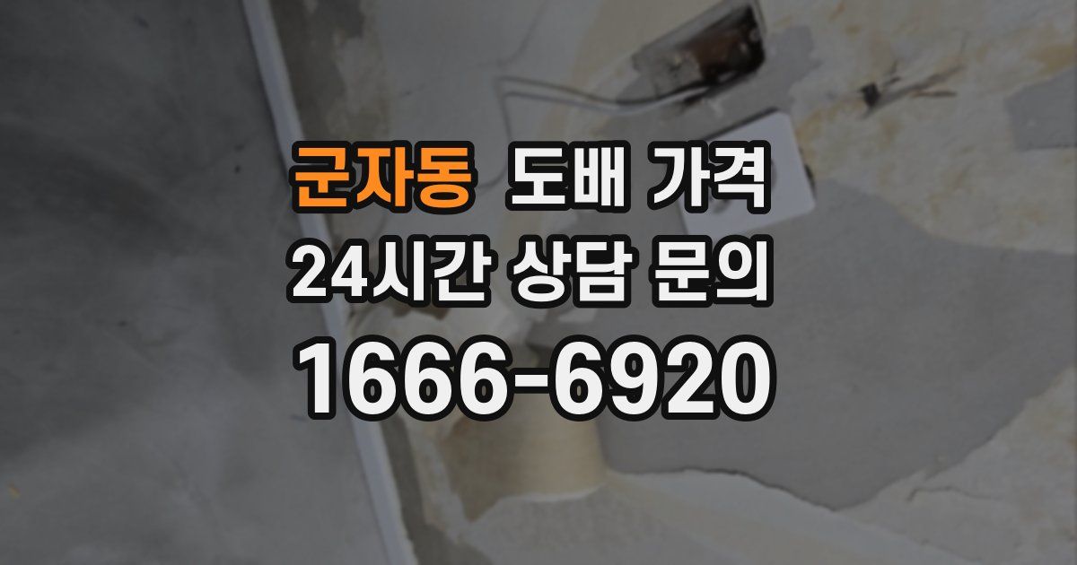 군자동 도배 가격