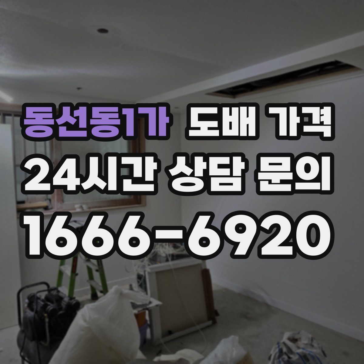 동선동1가 도배 가격