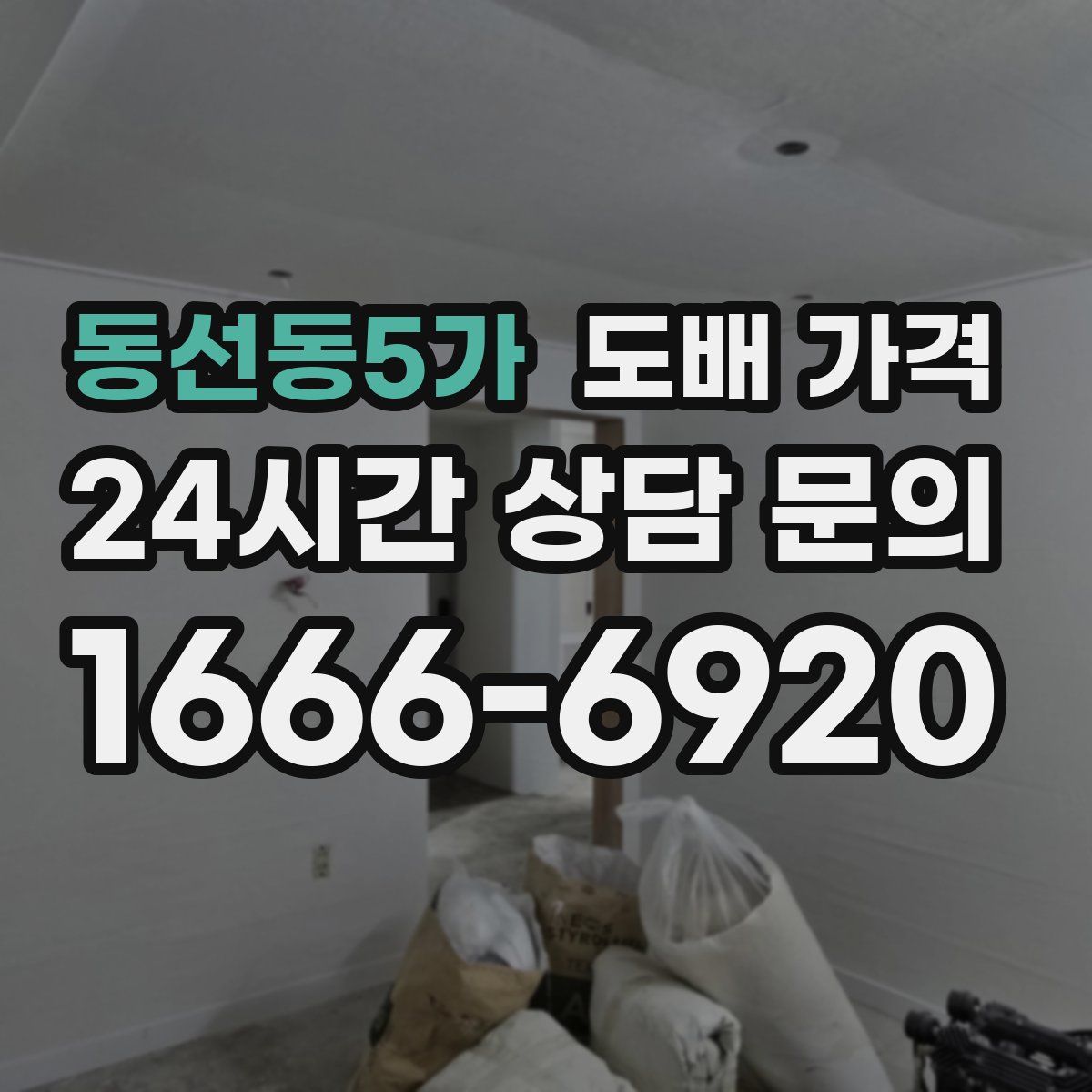 동선동5가 도배 가격