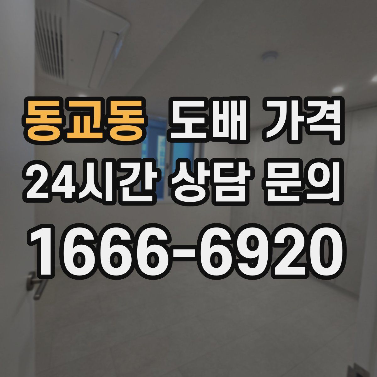 동교동 도배 가격