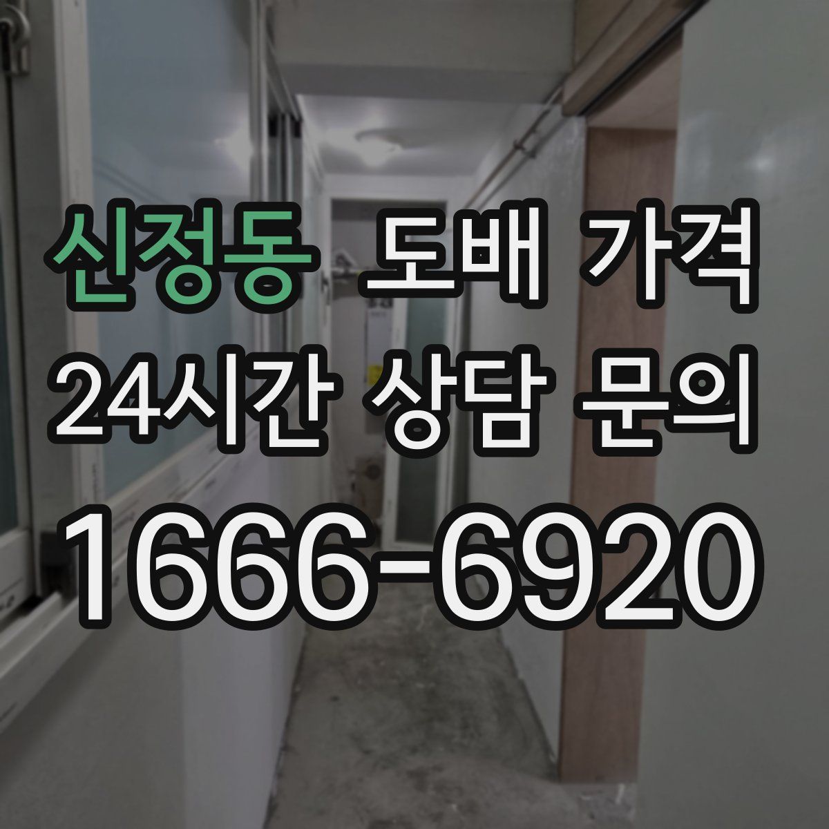 신정동 도배 가격