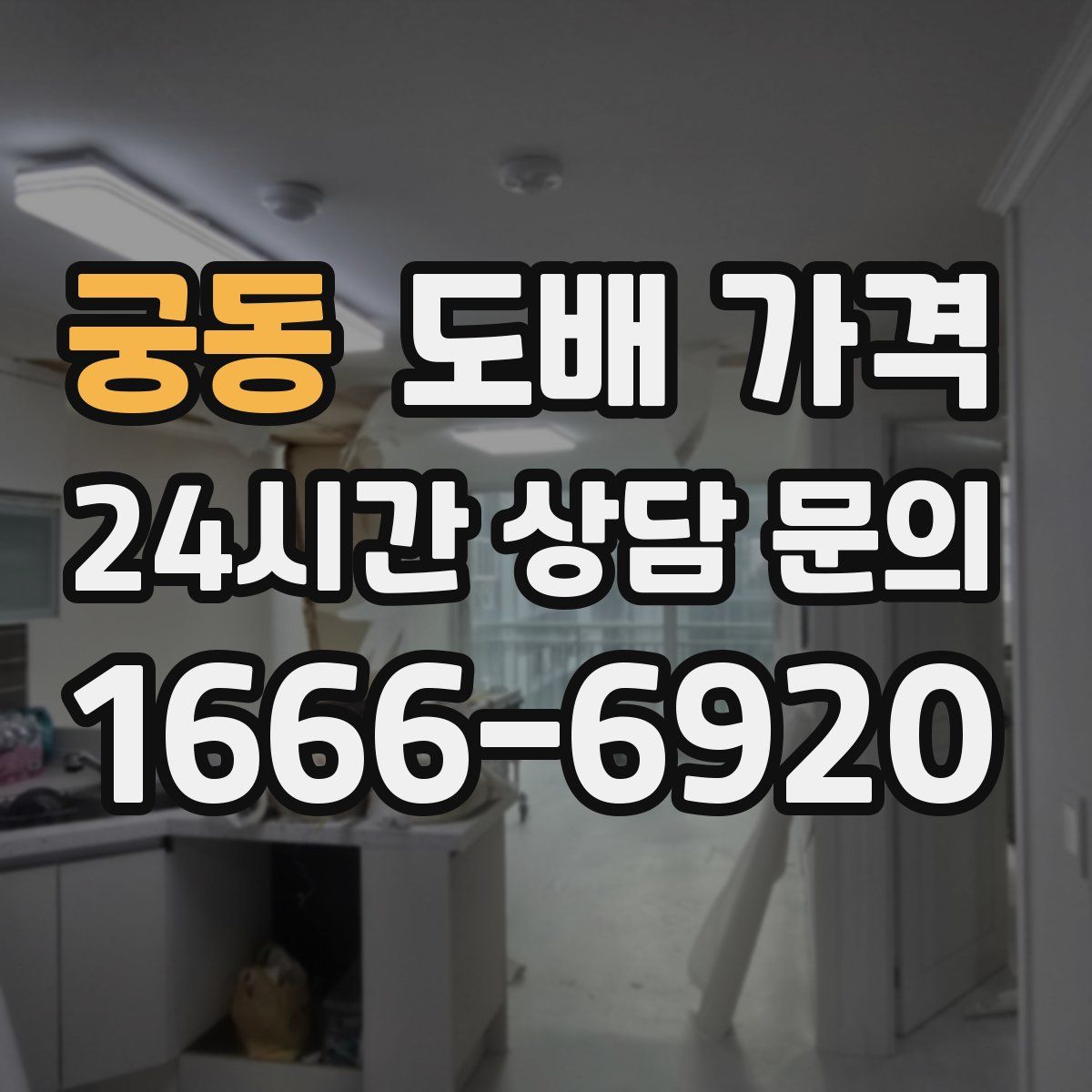 궁동 도배 가격