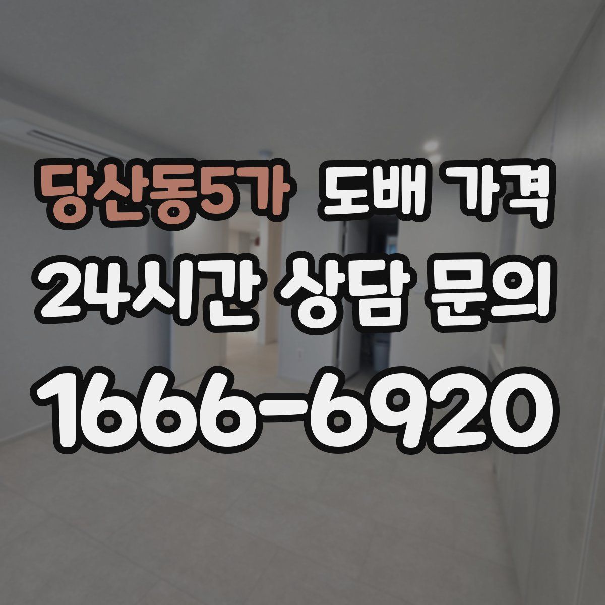 당산동5가 도배 가격