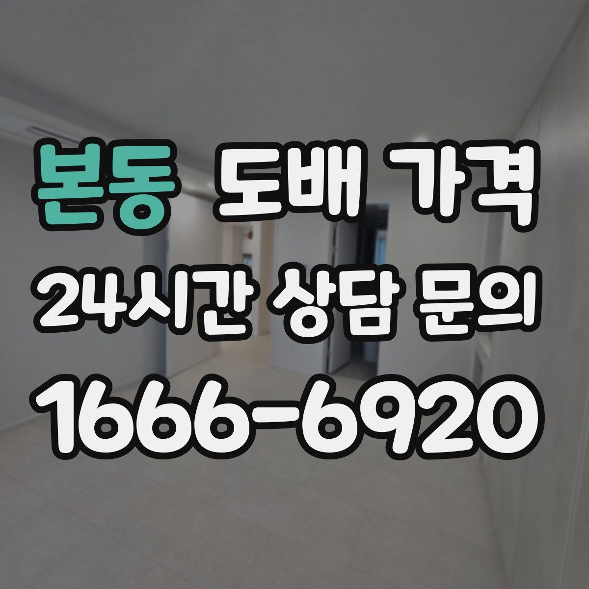 본동 도배 가격