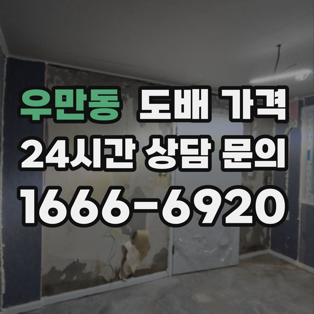 우만동 도배 가격