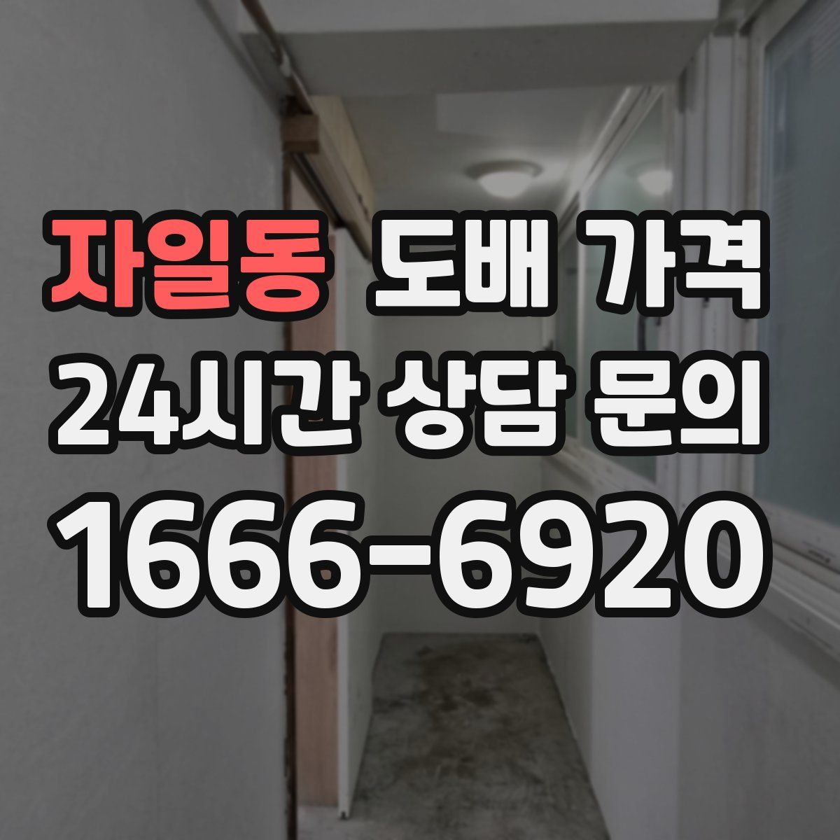 자일동 도배 가격