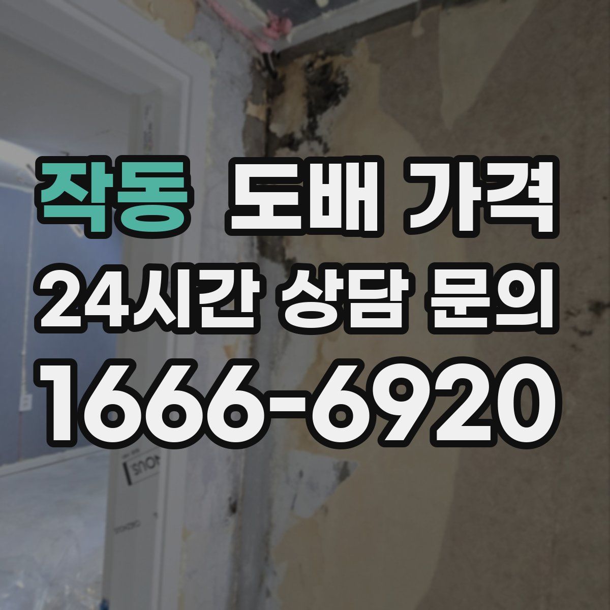 작동 도배 가격