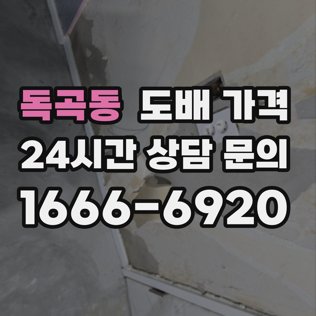 독곡동 도배 가격
