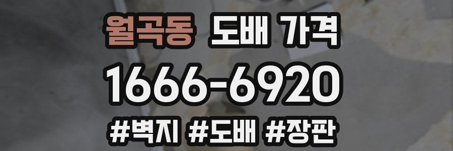 월곡동 도배 가격
