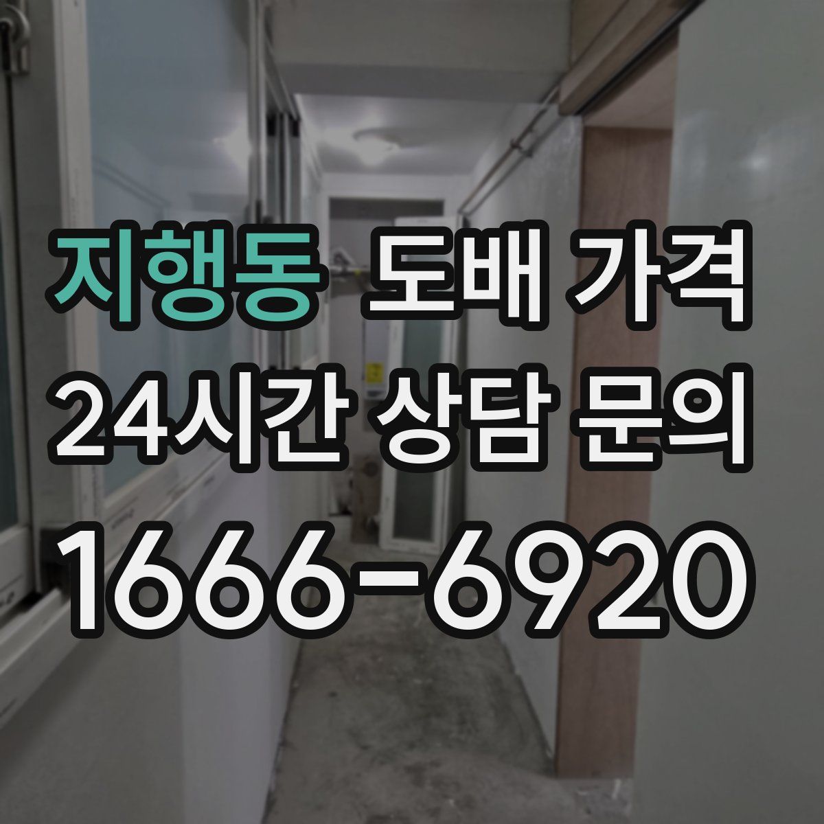 지행동 도배 가격