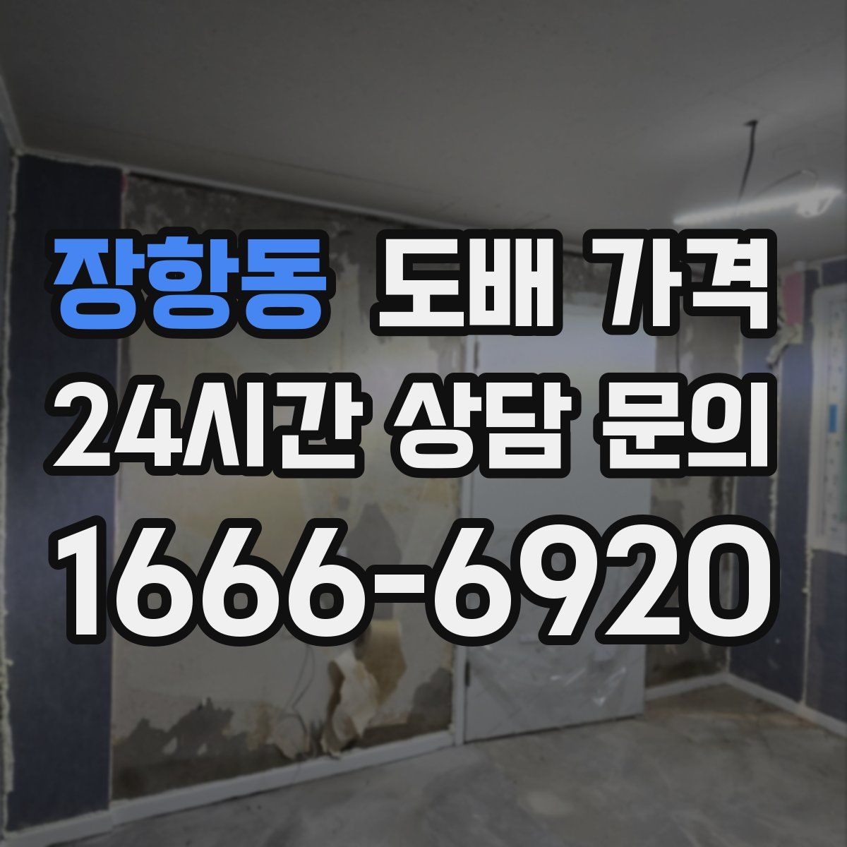 장항동 도배 가격