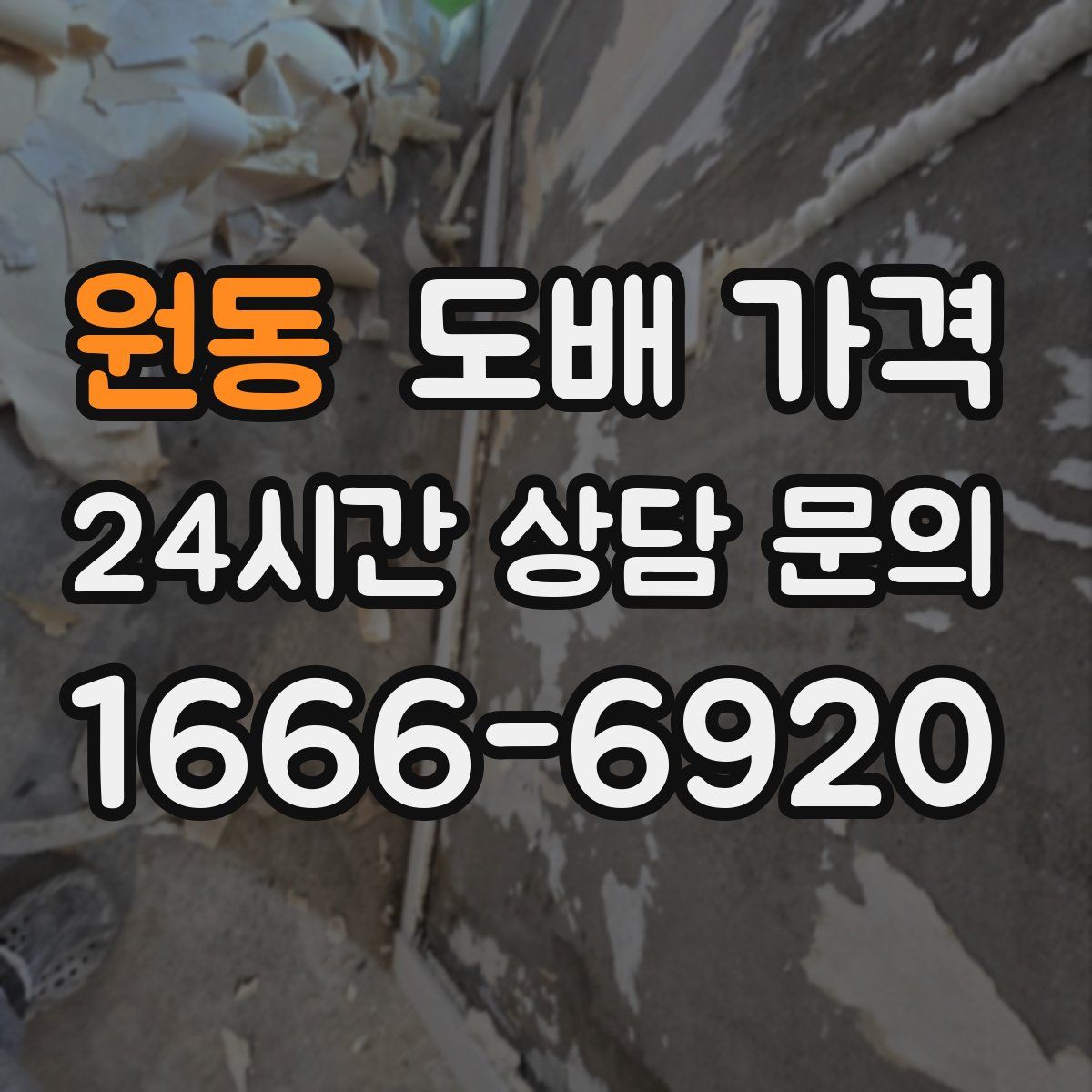 원동 도배 가격