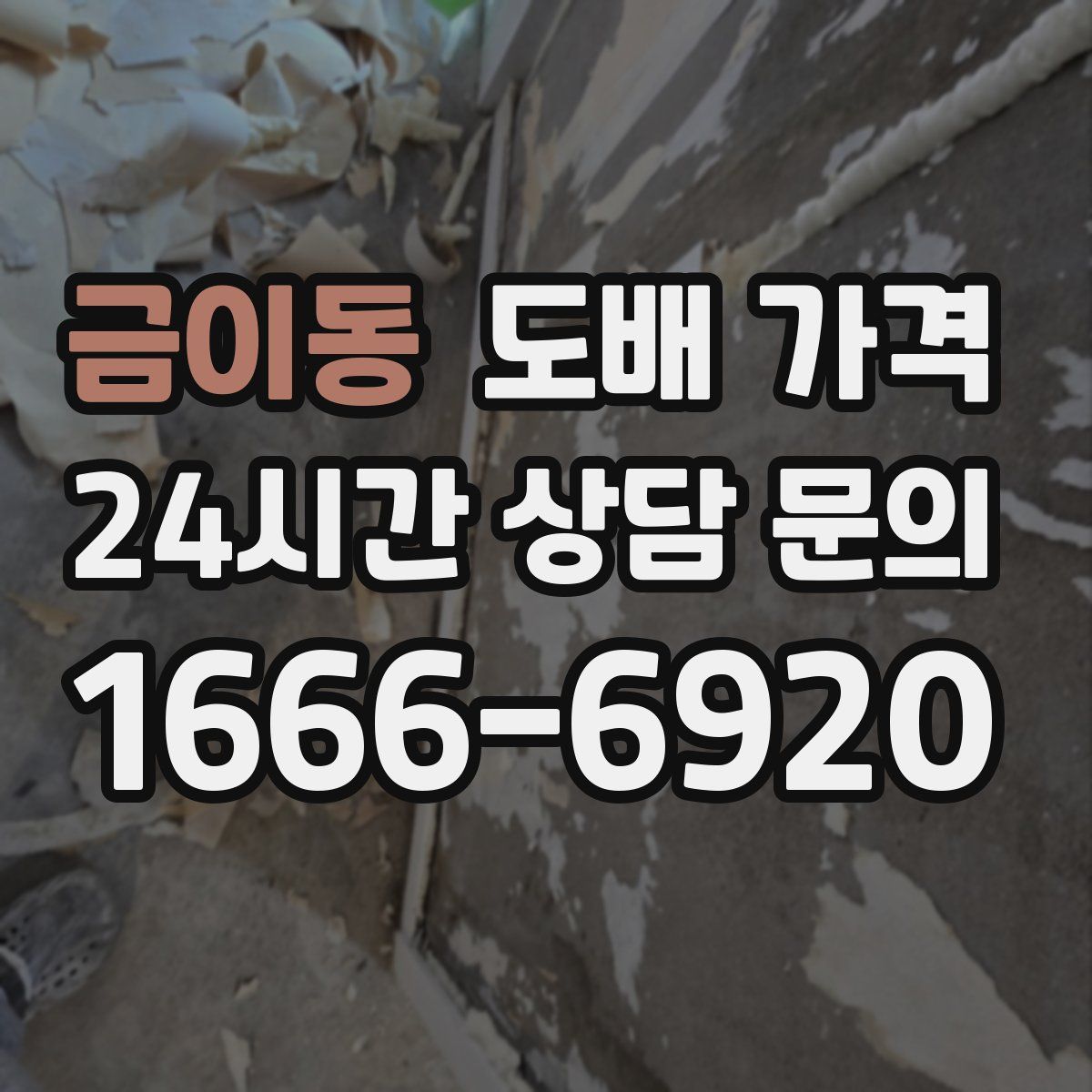 금이동 도배 가격