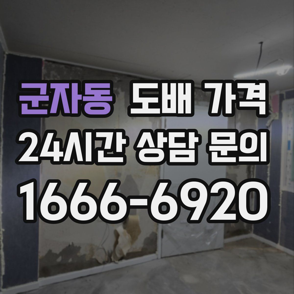 군자동 도배 가격