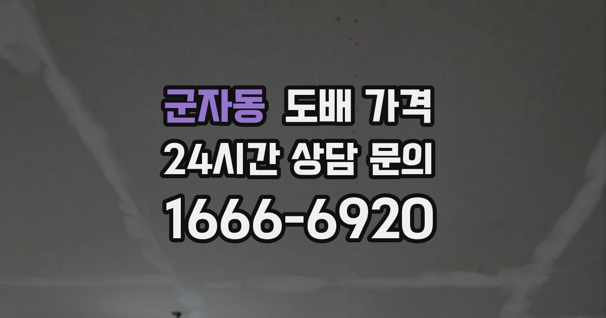 군자동 도배 가격