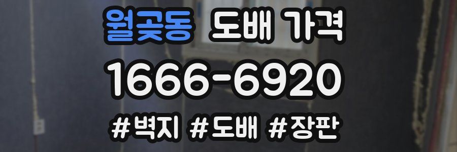 월곶동 도배 가격