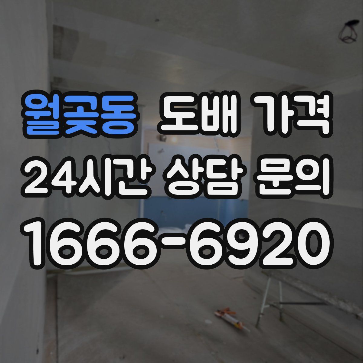 월곶동 도배 가격