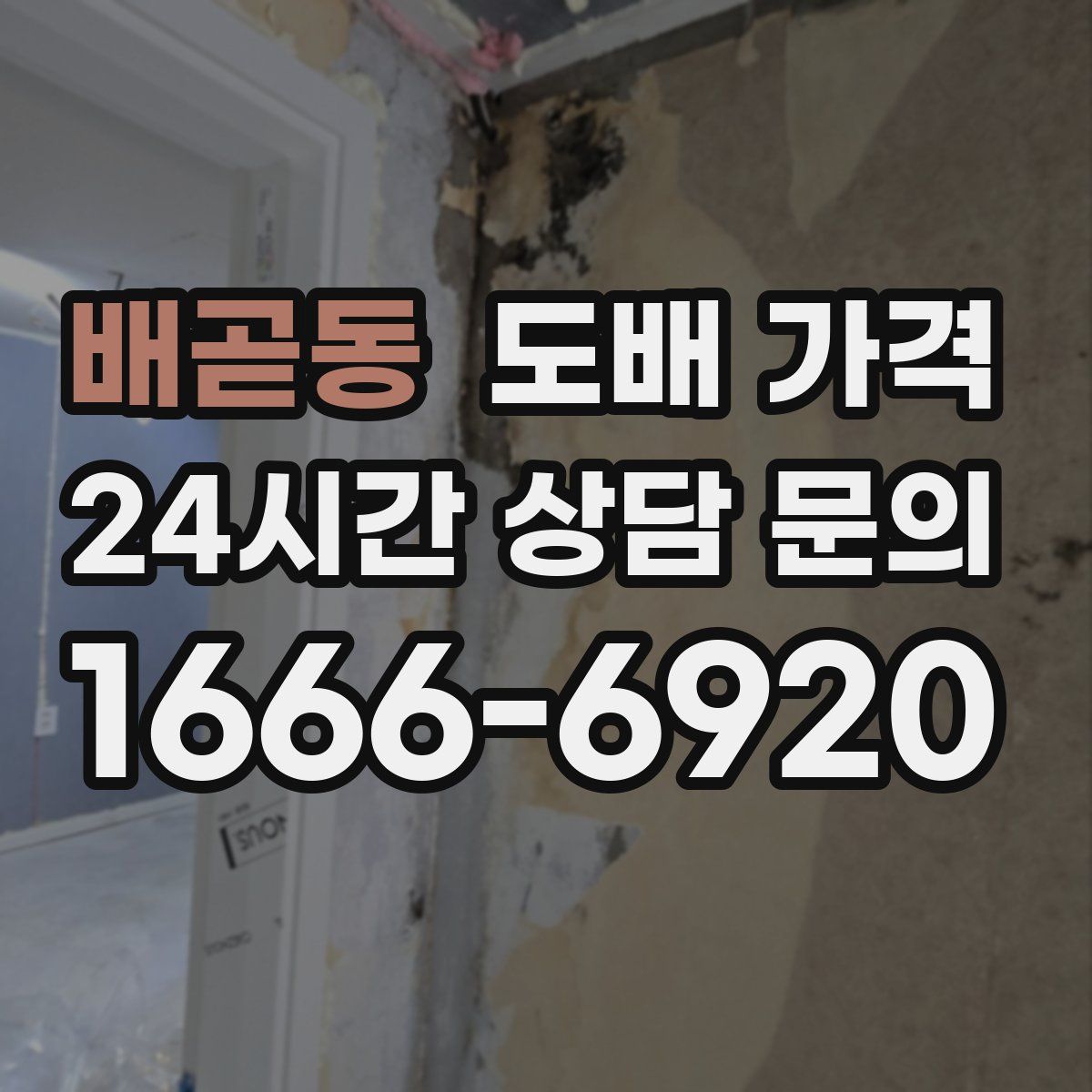 배곧동 도배 가격