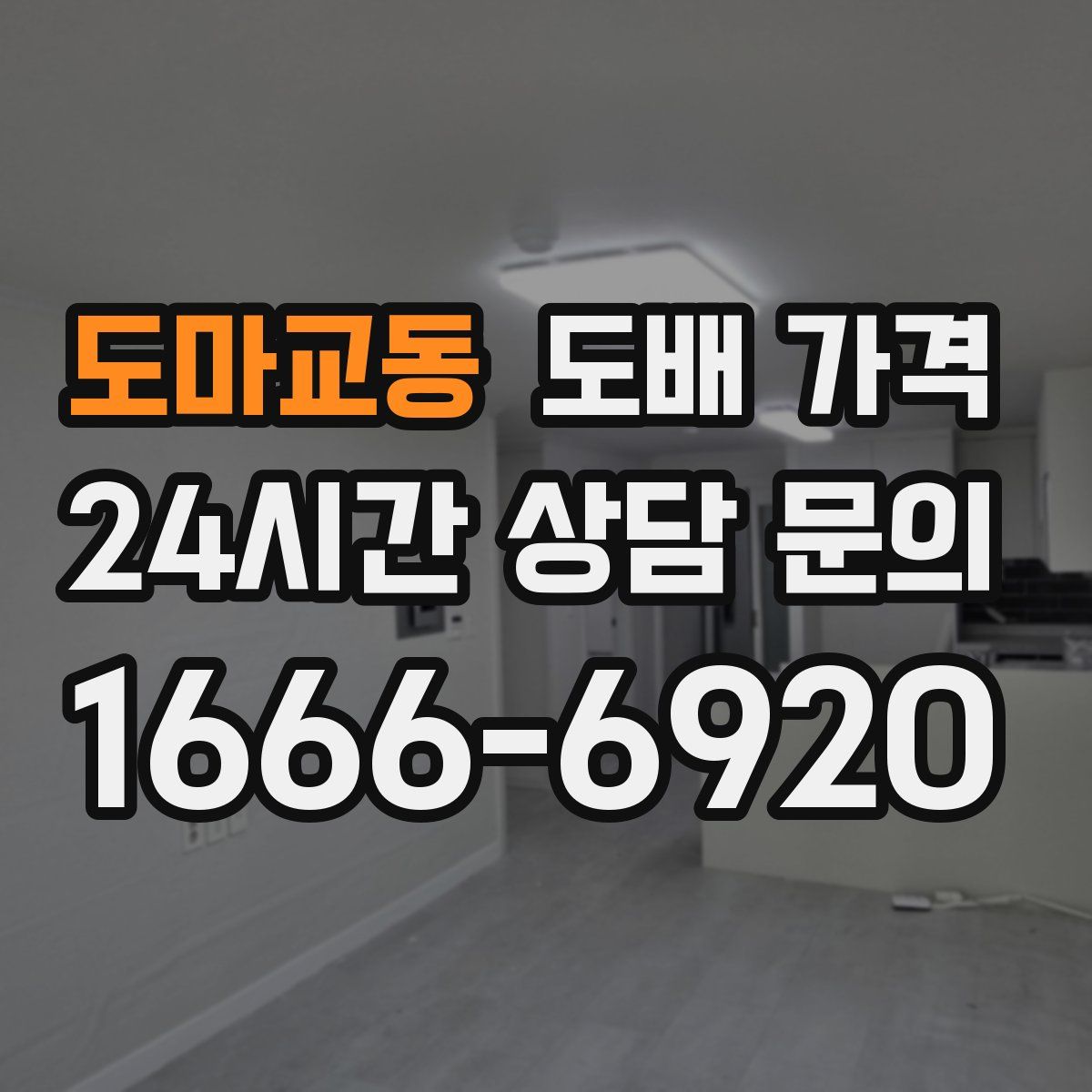 도마교동 도배 가격